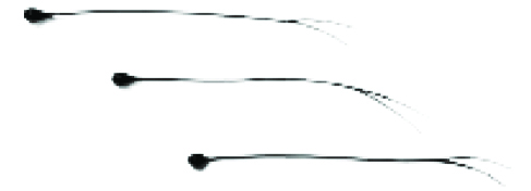 Thermometrics NTC Thermistors | Epoxy Interchangeable Type 65